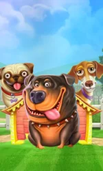 The Dog House